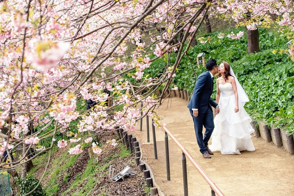 湘南海岸の砂浜に座る新郎と新婦